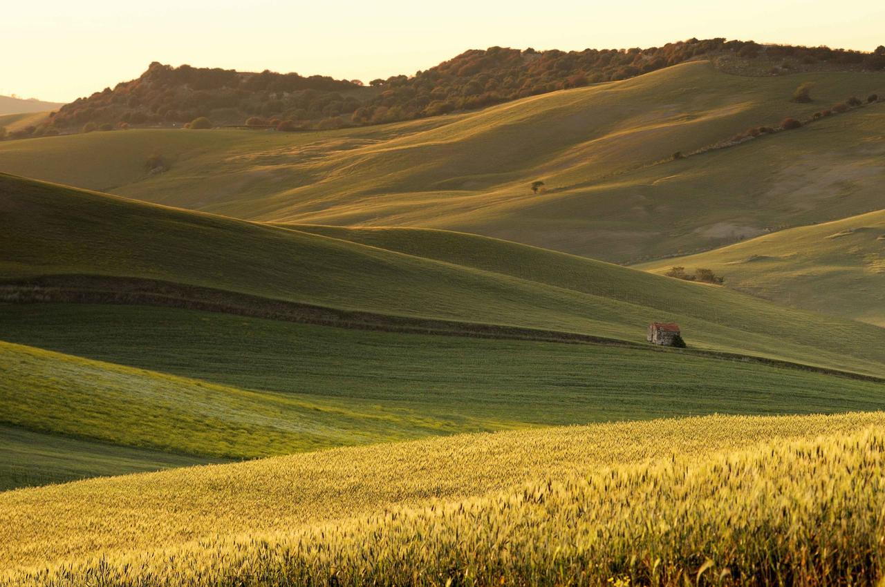 Agriturismo Palazzo Conti - B Pienza Bagian luar foto