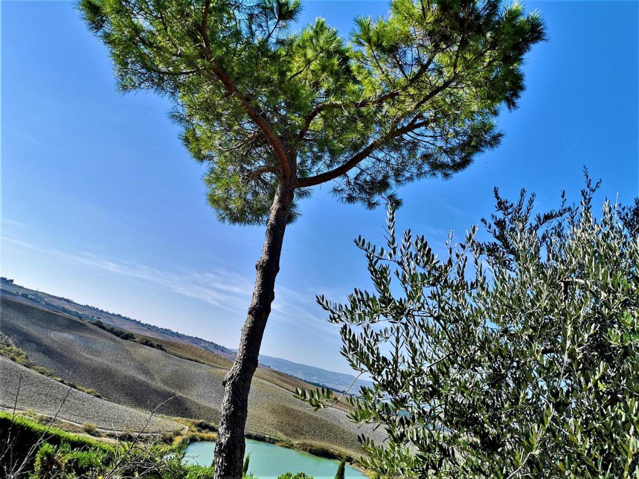 Agriturismo Palazzo Conti - B Pienza Bagian luar foto