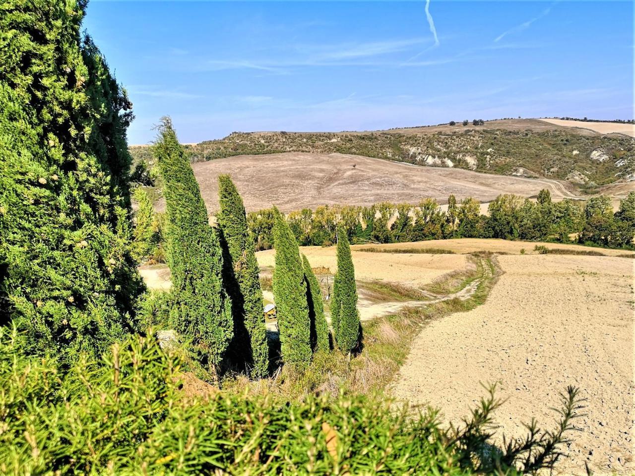 Agriturismo Palazzo Conti - B Pienza Bagian luar foto